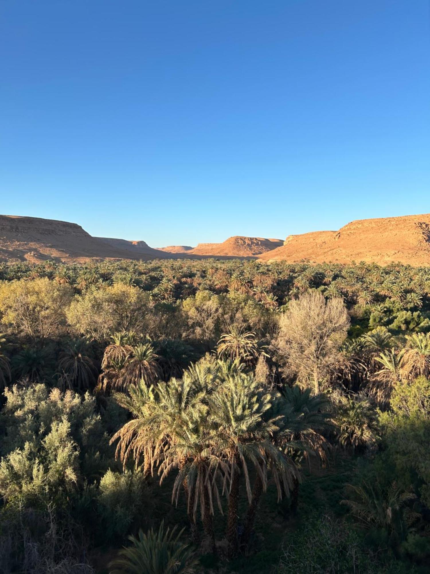 Maison D'Hotes Sahara Aoufous المظهر الخارجي الصورة